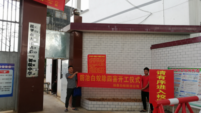 桂平市大洋镇第一初级中学防治白蚁